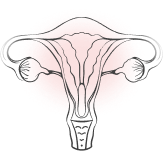 不妊治療・不妊改善