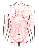 血行促進・冷え性